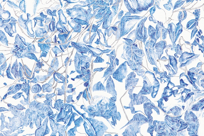 Blaue Hortensien-Blüte (Aluminiumsulfat)